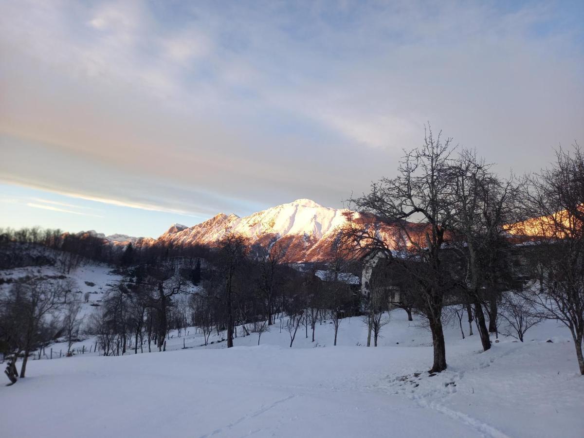 Apartmaji Ursic Kobarid Esterno foto